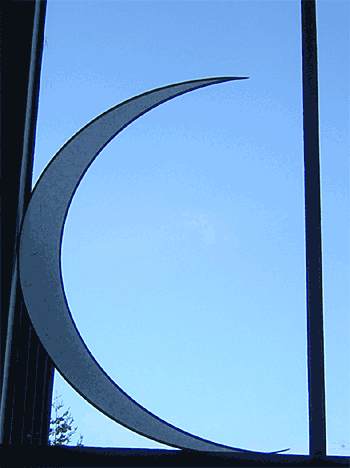 Crescent Moon Shakti Shoji